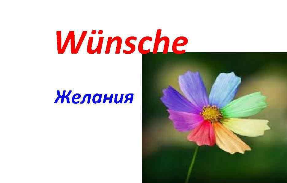 Wünsche Желания 