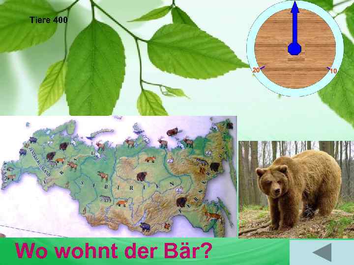 Tiere 400 Er wohnt in Sibirien, im Fernen Osten, in Zentralrussland. Wo wohnt der