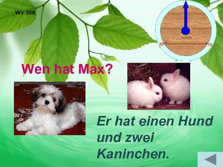 Wir 300 Wen hat Max? Er hat einen Hund zwei Kaninchen. 