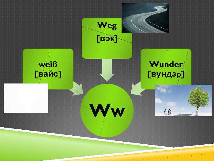 Weg [вэк] weiß [вайс] Wunder [вундэр] Ww 