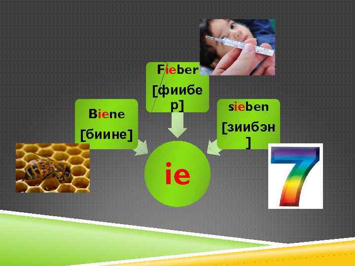 Fieber Biene [биине] [фиибе р] sieben [зиибэн ] ie 