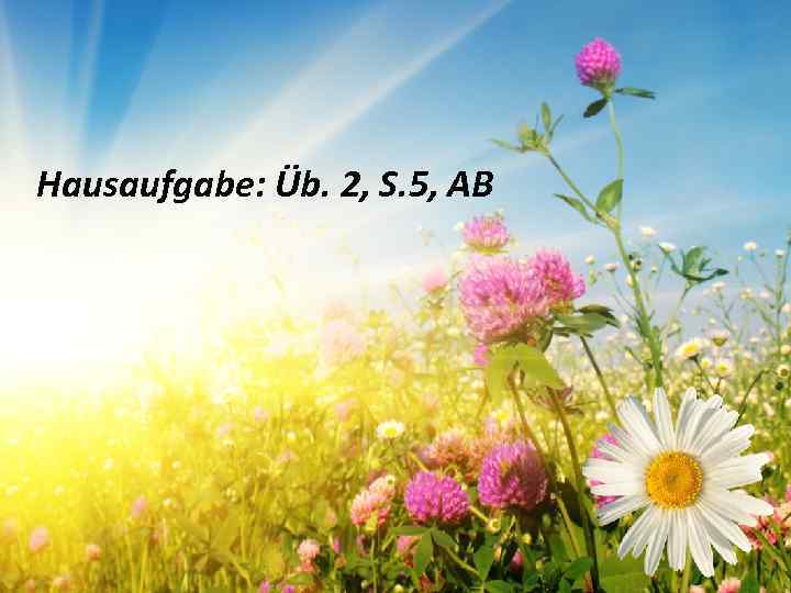 Hausaufgabe: Üb. 2, S. 5, AB 