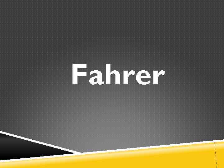 Fahrer 