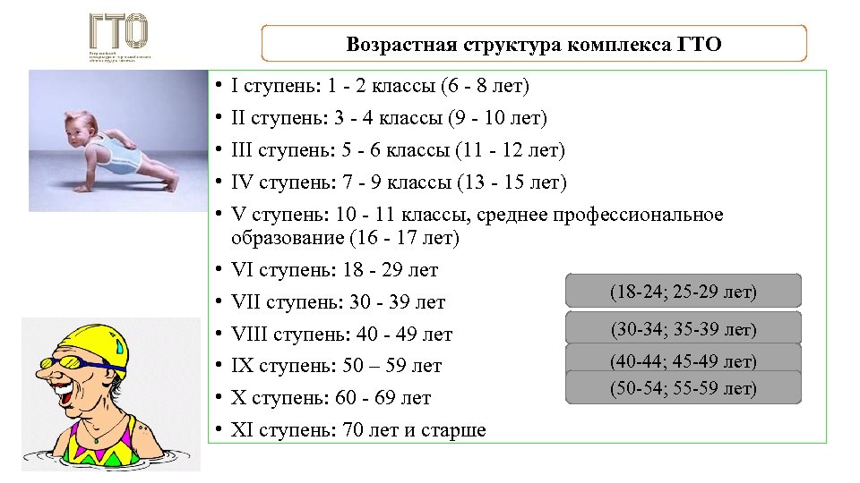 Возрастная структура комплекса ГТО • • • I ступень: 1 - 2 классы (6