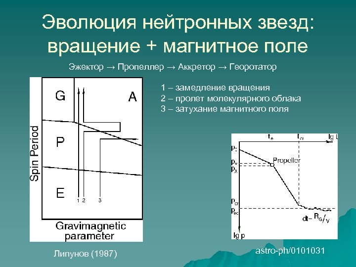 Эволюция нейтронных звезд: вращение + магнитное поле Эжектор → Пропеллер → Аккретор → Георотатор