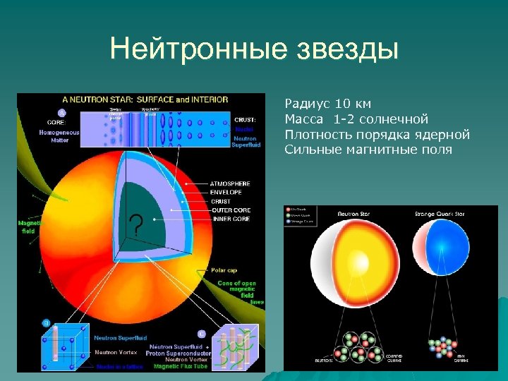 Нейтронные звезды Радиус 10 км Масса 1 -2 солнечной Плотность порядка ядерной Сильные магнитные