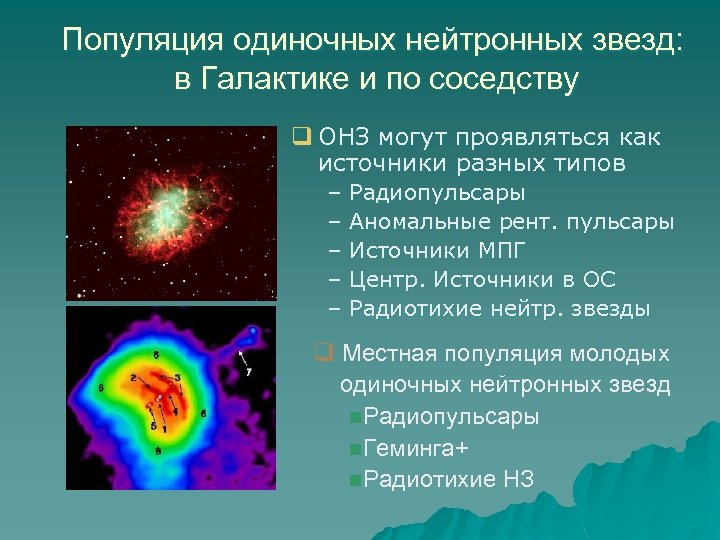 Популяция одиночных нейтронных звезд: в Галактике и по соседству q ОНЗ могут проявляться как