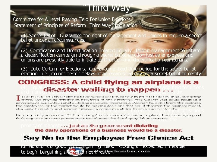 “Third Way” Committee for A Level Playing Field For Union Elections Statement of Principles