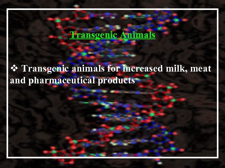 Transgenic Animals v Transgenic animals for increased milk, meat and pharmaceutical products 