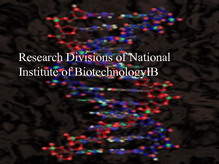 Research Divisions of National Institute of Biotechnology. IB 