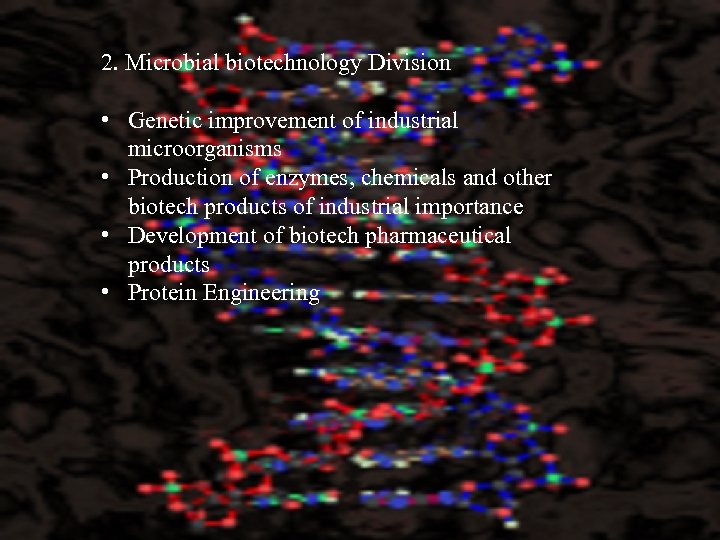 2. Microbial biotechnology Division • Genetic improvement of industrial microorganisms • Production of enzymes,