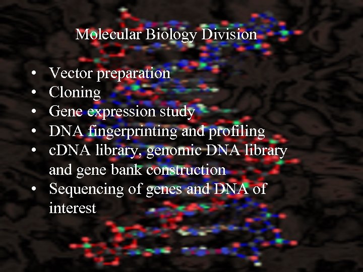  Molecular Biology Division • • • Vector preparation Cloning Gene expression study DNA