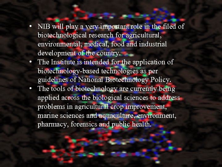  • NIB will play a very important role in the filed of biotechnological