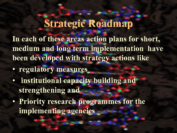 Strategic Roadmap In each of these areas action plans for short, medium and long