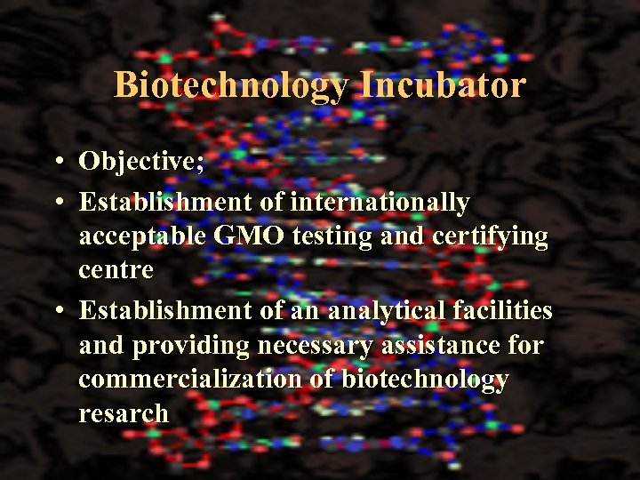 Biotechnology Incubator • Objective; • Establishment of internationally acceptable GMO testing and certifying centre