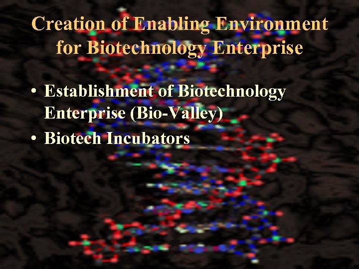 Creation of Enabling Environment for Biotechnology Enterprise • Establishment of Biotechnology Enterprise (Bio-Valley) •