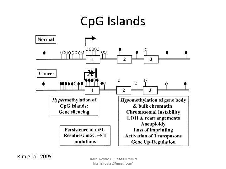 Cp. G Islands Kim et al. 2005 Daniel Roytas BHSc M. Hum. Nutr (danielroytas@gmail.
