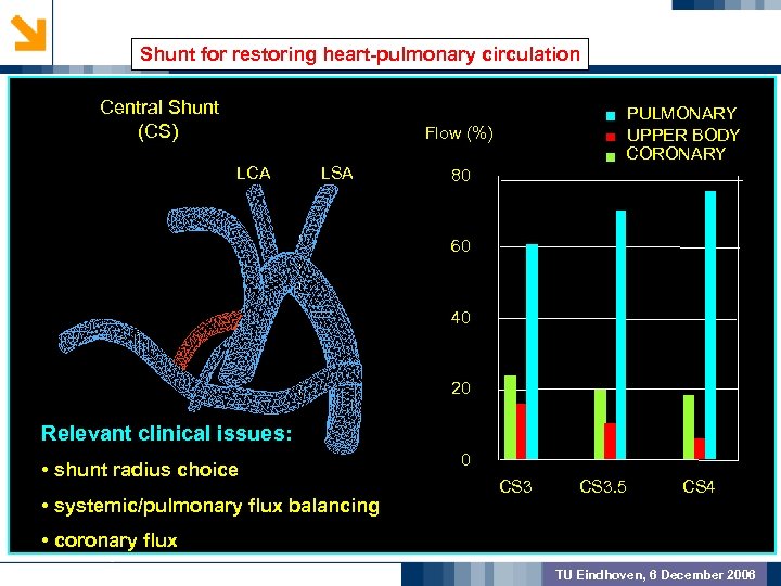 Shunt for restoring heart-pulmonary circulation GEOMETRIC PREPROCSSING Central Shunt (CS) PULMONARY UPPER BODY CORONARY