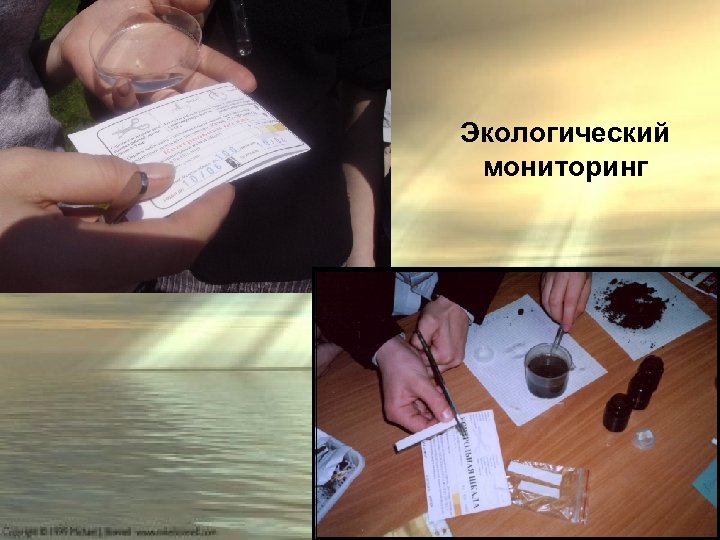 Экологический мониторинг 