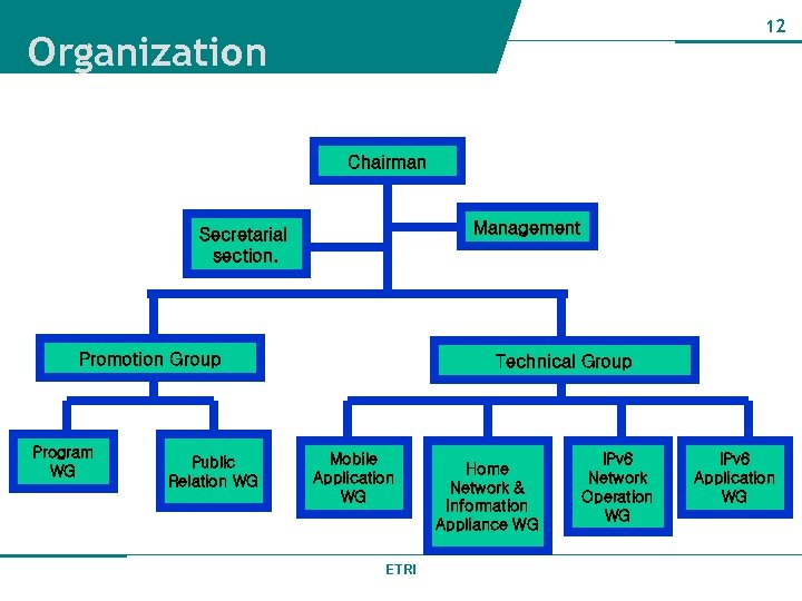 12 Organization Chairman Management Secretarial section. Promotion Group Program WG Public Relation WG Technical