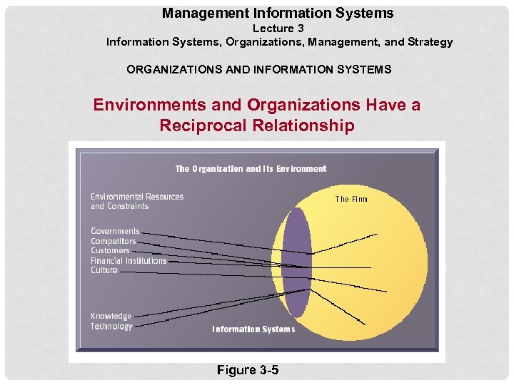 Management Information Systems Lecture 3 Information Systems, Organizations, Management, and Strategy ORGANIZATIONS AND INFORMATION