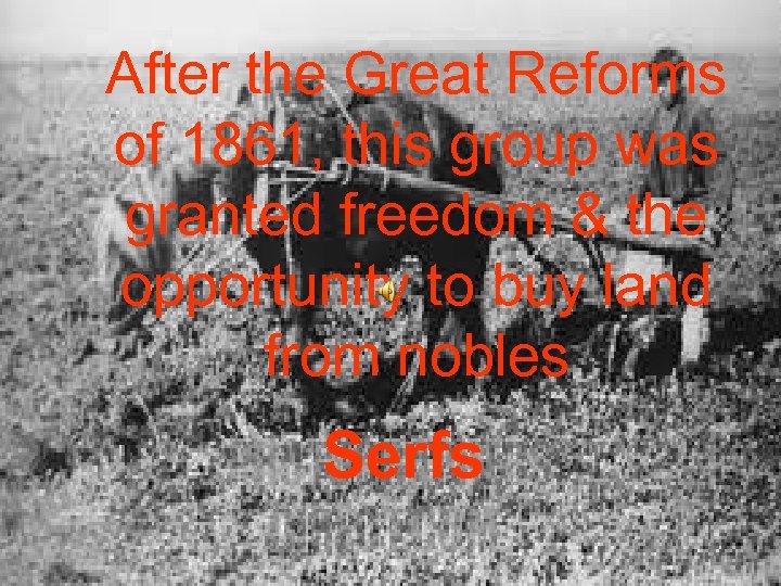After the Great Reforms of 1861, this group was granted freedom & the opportunity