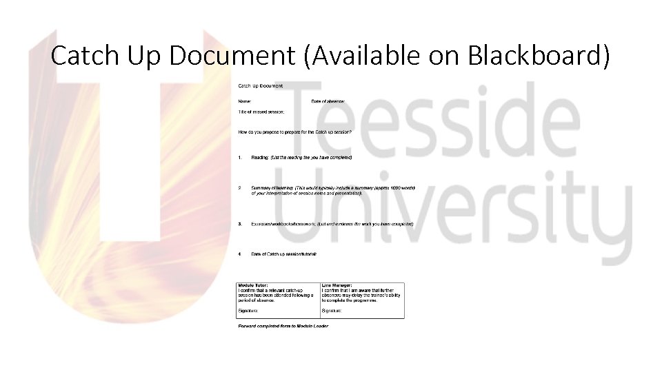 Catch Up Document (Available on Blackboard) 