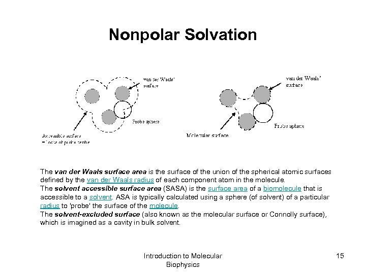 Nonpolar Solvation The van der Waals surface area is the surface of the union