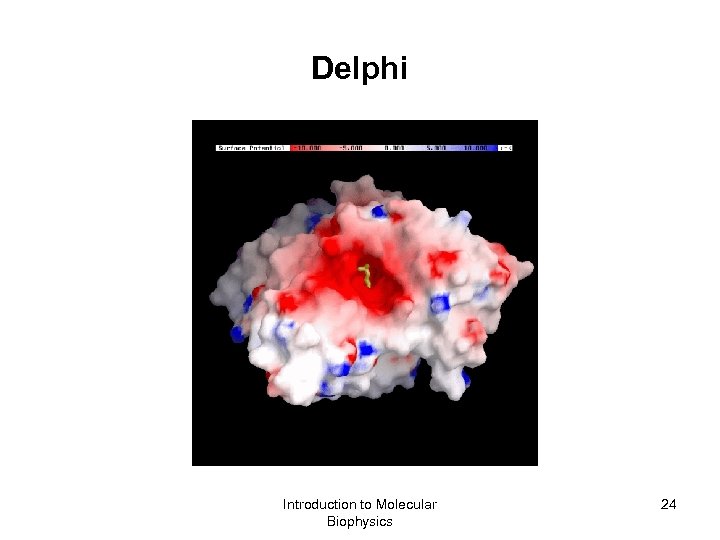 Delphi Introduction to Molecular Biophysics 24 