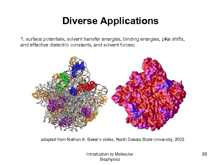 Diverse Applications 1. surface potentials, solvent transfer energies, binding energies, p. Ka shifts, and