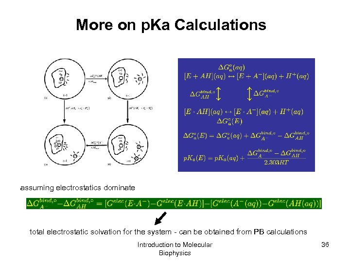 More on p. Ka Calculations assuming electrostatics dominate total electrostatic solvation for the system