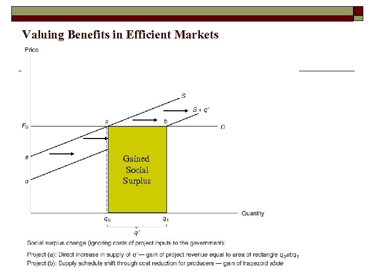 Valuing Benefits in Efficient Markets Gained Social Surplus 