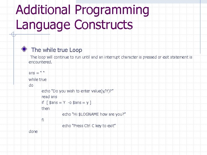 Additional Programming Language Constructs The while true Loop The loop will continue to run