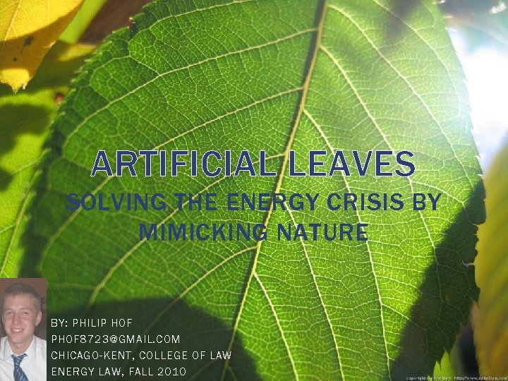 ARTIFICIAL LEAVES SOLVING THE ENERGY CRISIS BY MIMICKING NATURE BY: PHILIP HOF PHOF 8723@GMAIL.
