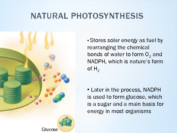 NATURAL PHOTOSYNTHESIS • Stores solar energy as fuel by rearranging the chemical bonds of