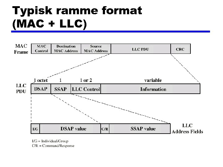 Typisk ramme format (MAC + LLC) 