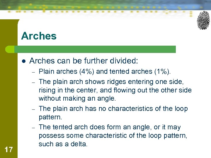 Arches l Arches can be further divided: – – 17 Plain arches (4%) and