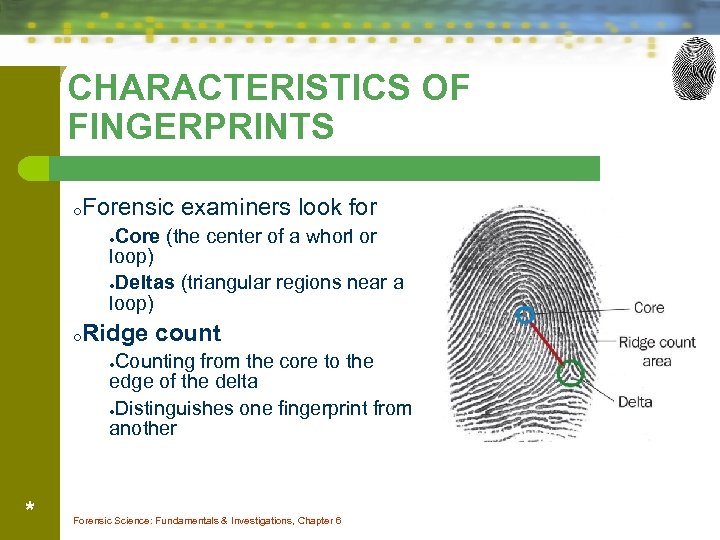 CHARACTERISTICS OF FINGERPRINTS o Forensic examiners look for Core (the center of a whorl