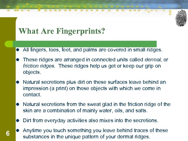 What Are Fingerprints? l All fingers, toes, feet, and palms are covered in small