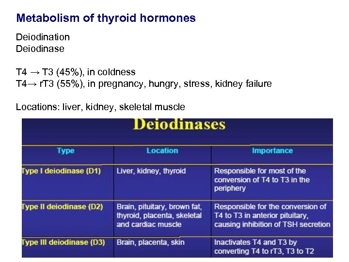 Metabolism of thyroid hormones Deiodination Deiodinase T 4 → T 3 (45%), in coldness