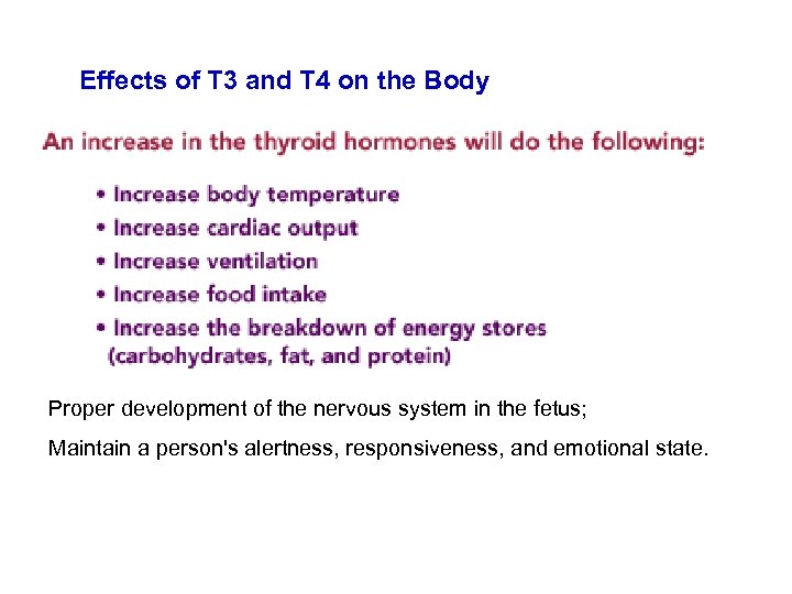 Effects of T 3 and T 4 on the Body Proper development of the