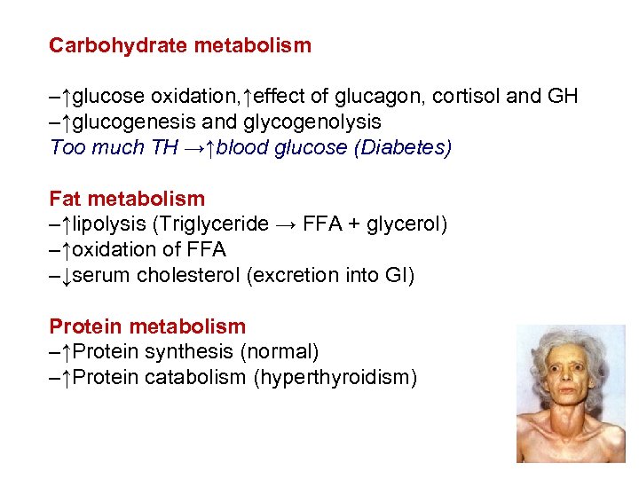 Carbohydrate metabolism –↑glucose oxidation, ↑effect of glucagon, cortisol and GH –↑glucogenesis and glycogenolysis Too