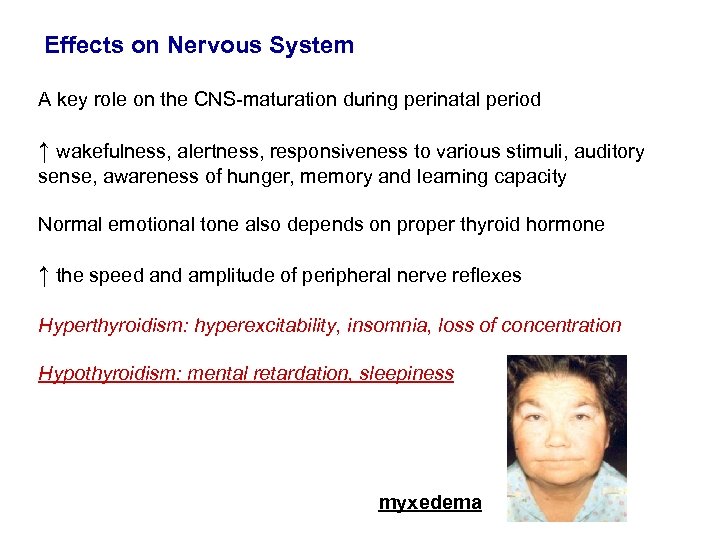 Effects on Nervous System A key role on the CNS-maturation during perinatal period ↑