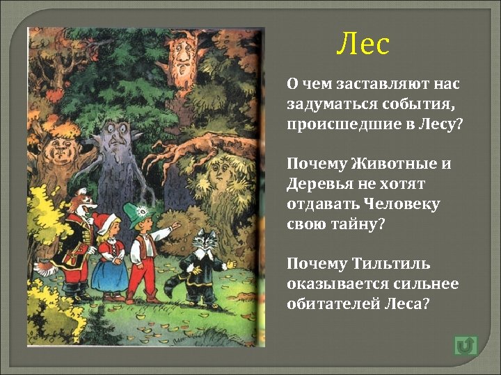 Лес О чем заставляют нас задуматься события, происшедшие в Лесу? Почему Животные и Деревья