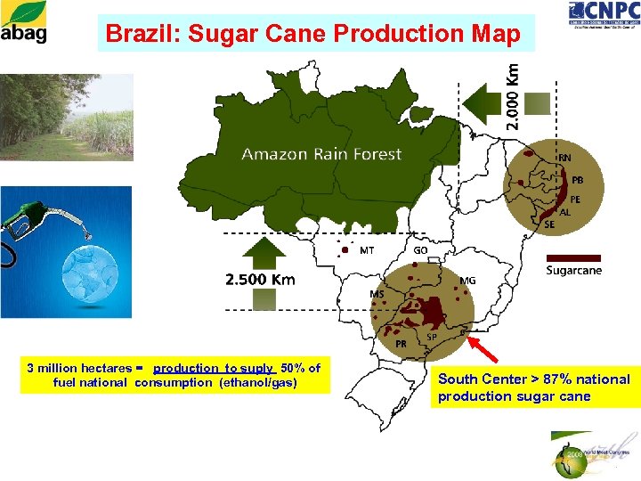 Brazil: Sugar Cane Production Map 3 million hectares = production to suply 50% of