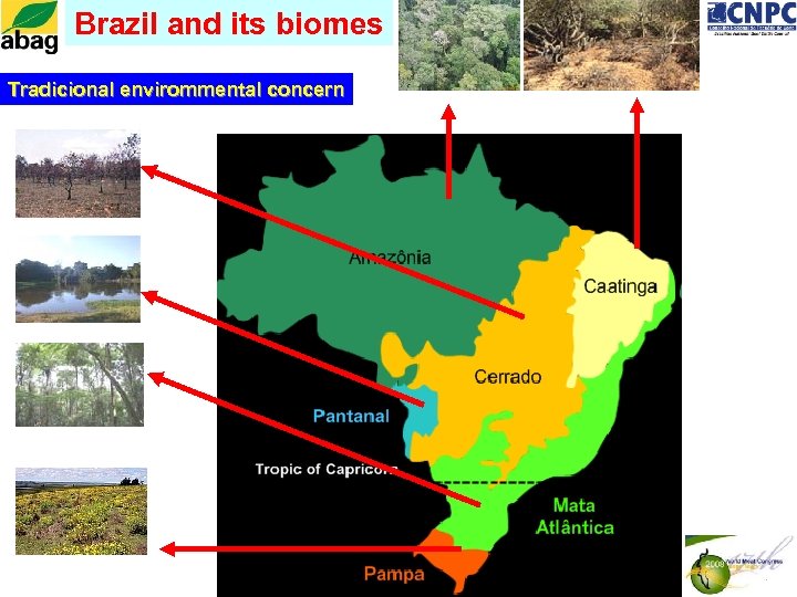 Brazil and its biomes Tradicional envirommental concern 