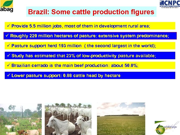 Brazil: Some cattle production figures ü Provide 5. 5 million jobs, most of them