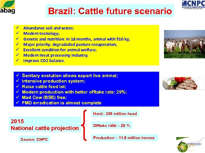 Brazil: Cattle future scenario ü ü ü ü Abundance soil and water; Modern tecnology;