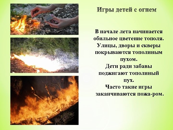 В начале лета начинается обильное цветение тополя. Улицы, дворы и скверы покрываются тополиным пухом.