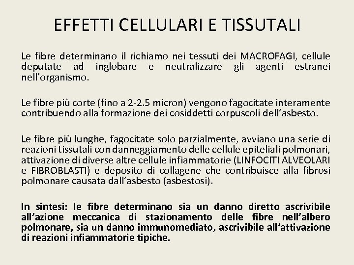 EFFETTI CELLULARI E TISSUTALI Le fibre determinano il richiamo nei tessuti dei MACROFAGI, cellule